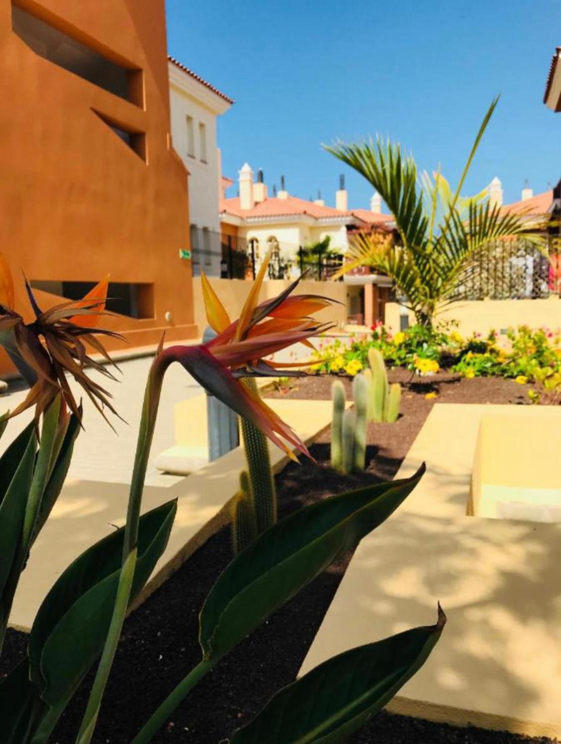 Selena Luxury Monte Carrera Διαμέρισμα La Playa de Arguineguín Εξωτερικό φωτογραφία